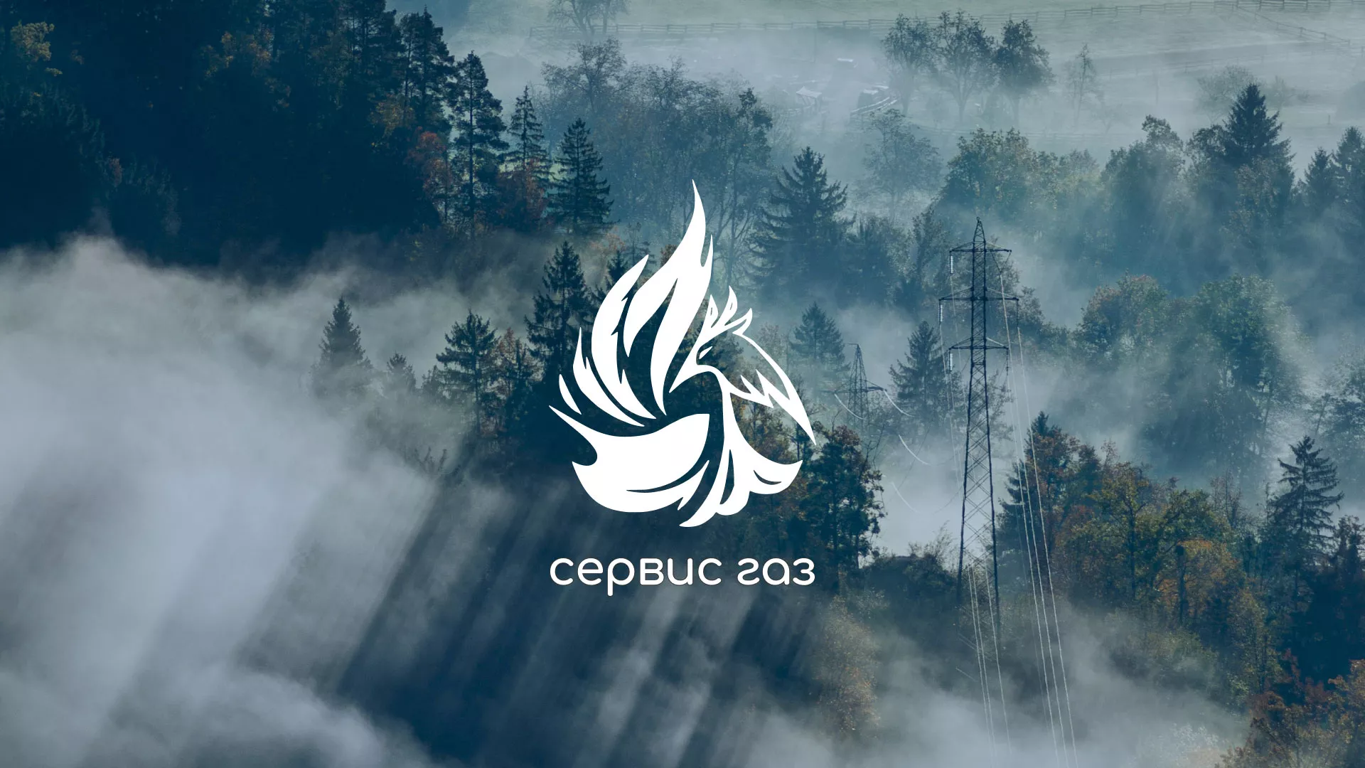 Создание сайта компании «Сервис газ» в Балтийске