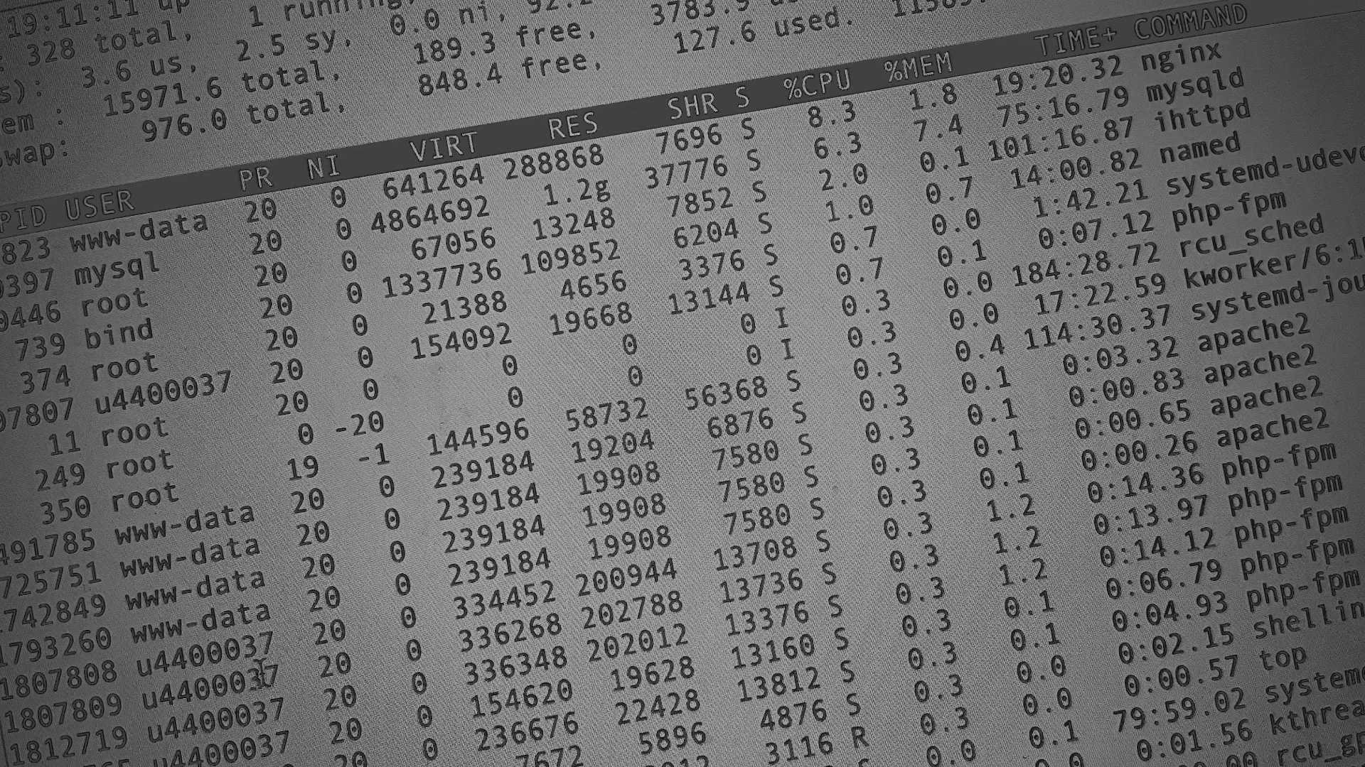 Настройка сервера в Балтийске