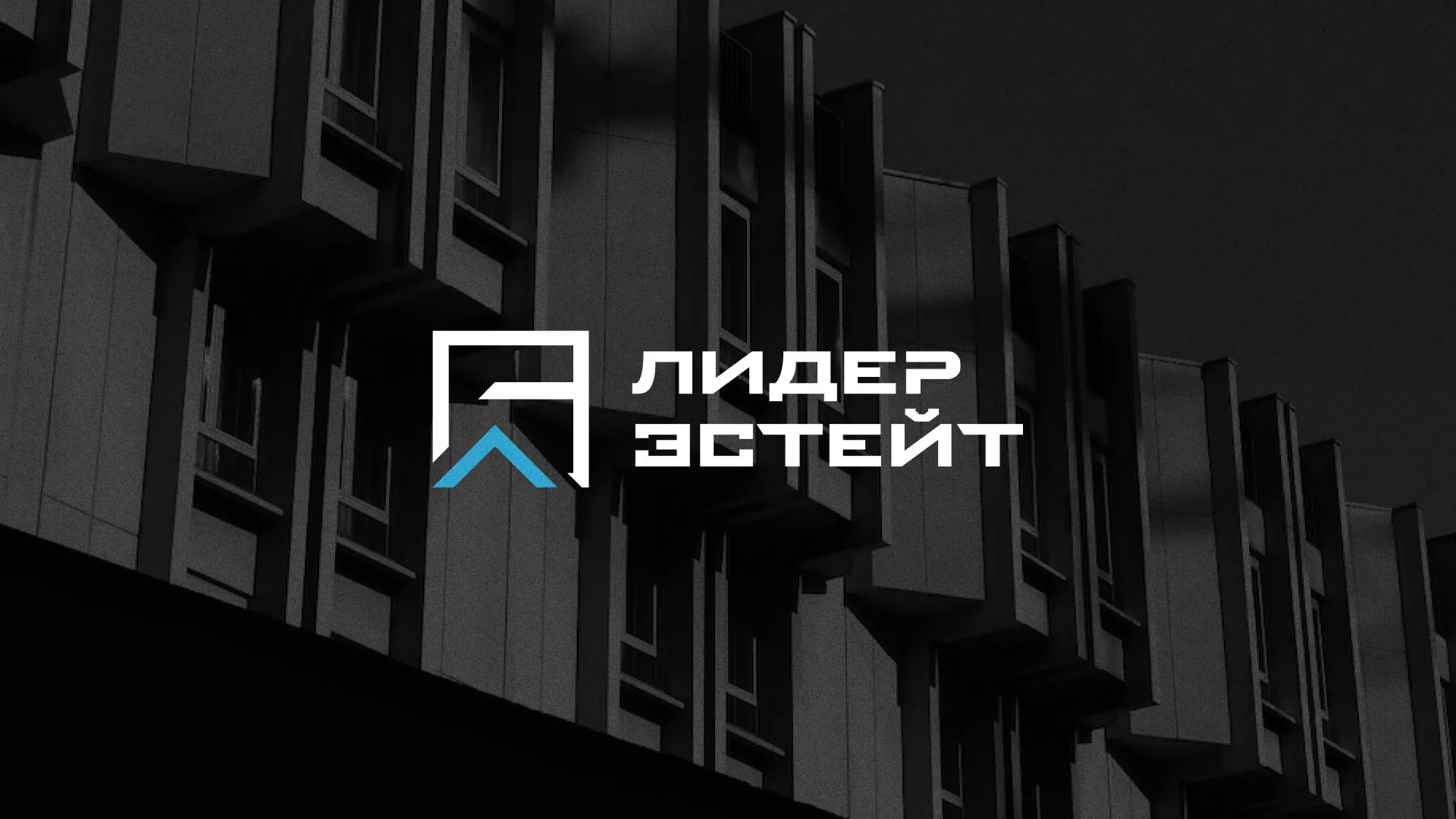 Разработка логотипа агентства недвижимости «Лидер Эстейт» в Балтийске